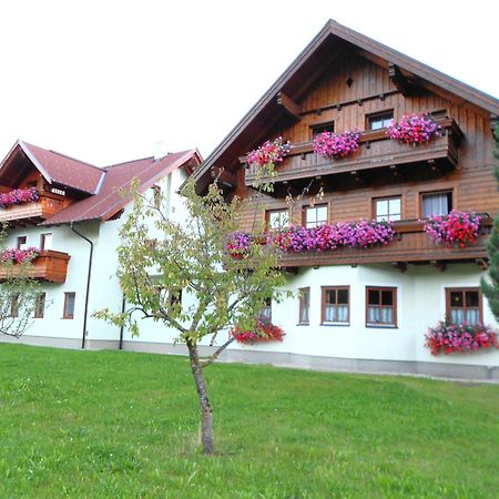 Pension Thorerhof Haus im Ennstal Kültér fotó
